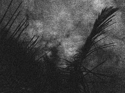 Foto: Sasha Engelmann