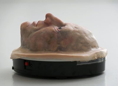 Aniara Omann, Final Incarnation, 2016. Courtesy the artist. Foto: Malcolm Cochrane