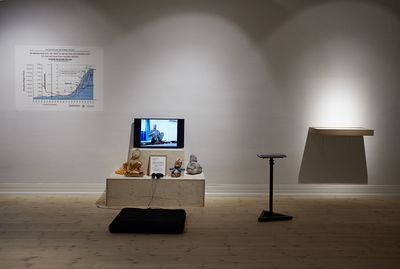 Installationsbillede, Kåre Viemose