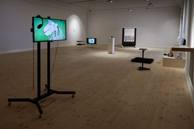 Installationsbillede, Kåre Viemose