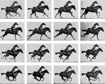 Horse Riding Horse (After Eadweard Muybridge)
2008, 1 channel video, 24 sec, video stills. Courtesy Kim Beom