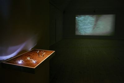 Fra udstillingen. Foto: Kåre Viemose