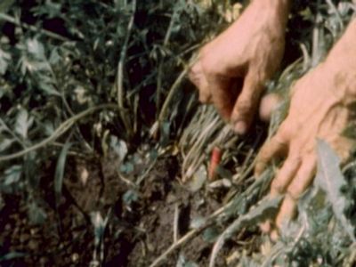 Still from First Mark by Peter Nadin, Natsuko Uchino & Aimée Toledano, 2008