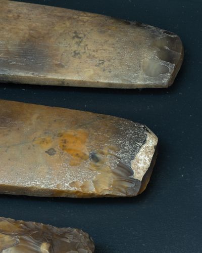 Flintøkser udlånt af Moesgaard Museum. Rikke Luther, Corruption – We Lost Control Again, Kunsthal Aarhus, 2019. Foto: Mikkel Kaldal