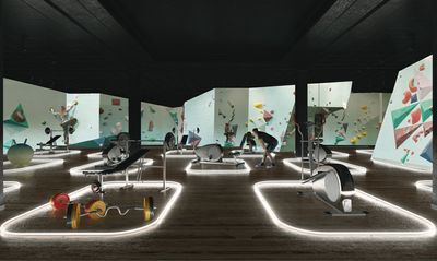 Visualisering af Lucian Racovitan, 2019