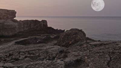 Still fra Clay Theory, Amalie Smith, 2019