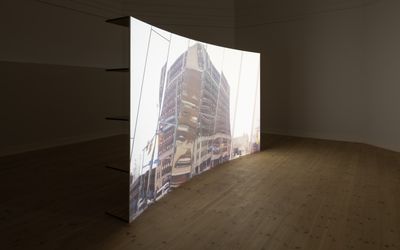 Sondra Perry, A Terrible Thing, 2019. Foto: Mikkel Kaldal